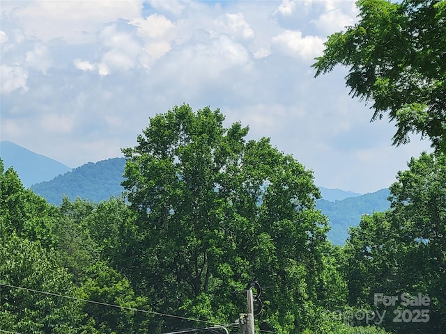 53 Lookout Ln, Waynesville, NC 28785 - photo 5
