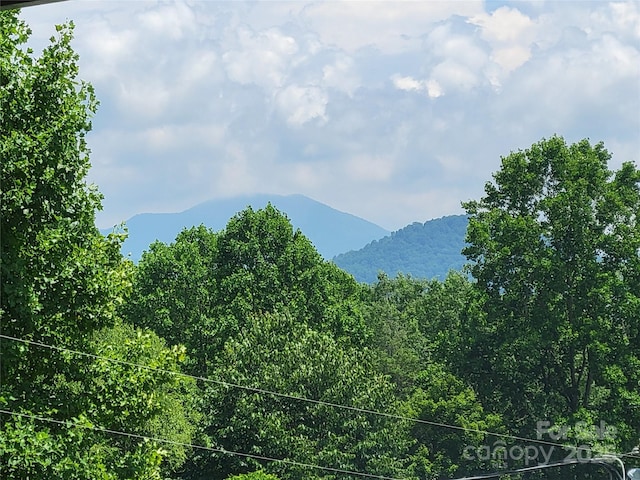 53 Lookout Ln, Waynesville, NC 28785 - photo 6
