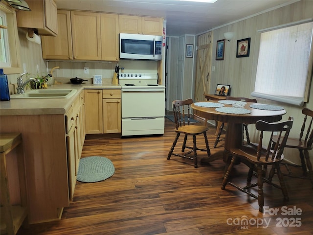 53 Lookout Ln, Waynesville, NC 28785 - photo 10