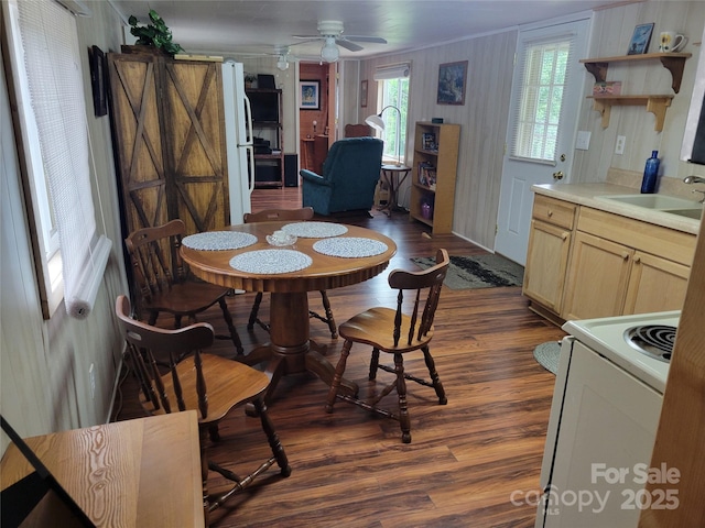 53 Lookout Ln, Waynesville, NC 28785 - photo 15