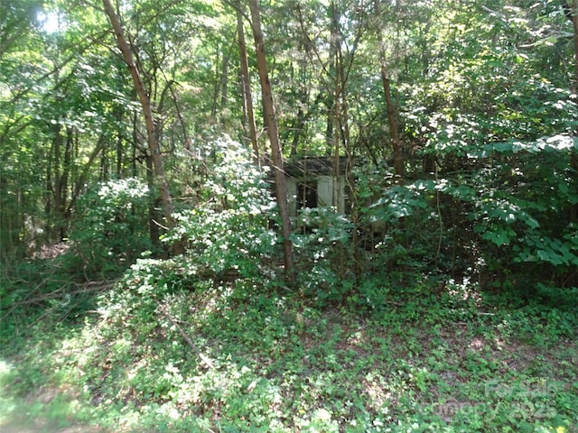 230 Myers Rd, Mocksville, NC 27028 - photo 18