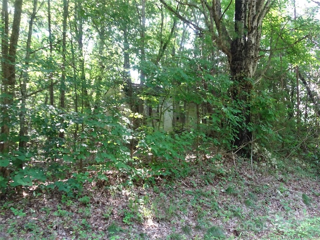230 Myers Rd, Mocksville, NC 27028 - photo 19