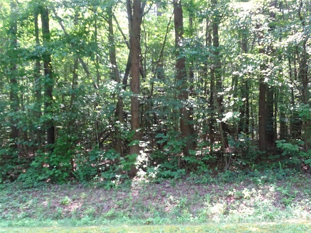 230 Myers Rd, Mocksville, NC 27028 - photo 20