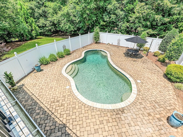 1842 Caroline Way, Fort Mill, SC 29715 - view of swimming pool with a patio area and a fenced backyard