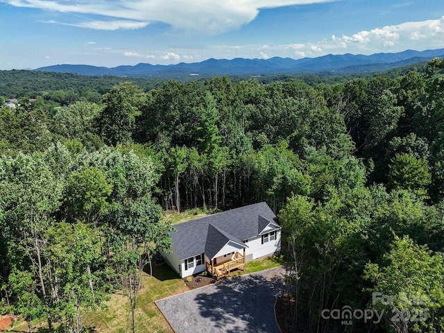 74 Carolyn Dr, Candler, NC 28715 - photo 3