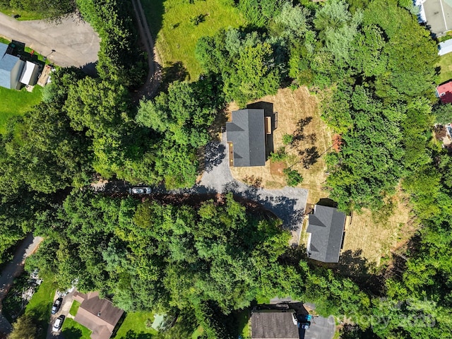 74 Carolyn Dr, Candler, NC 28715 - photo 12