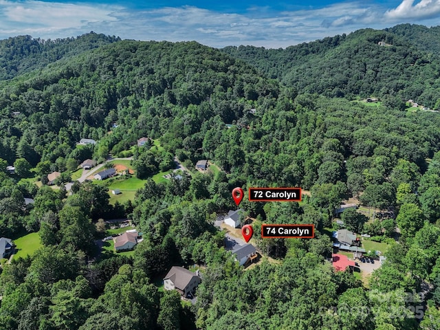 74 Carolyn Dr, Candler, NC 28715 - photo 45