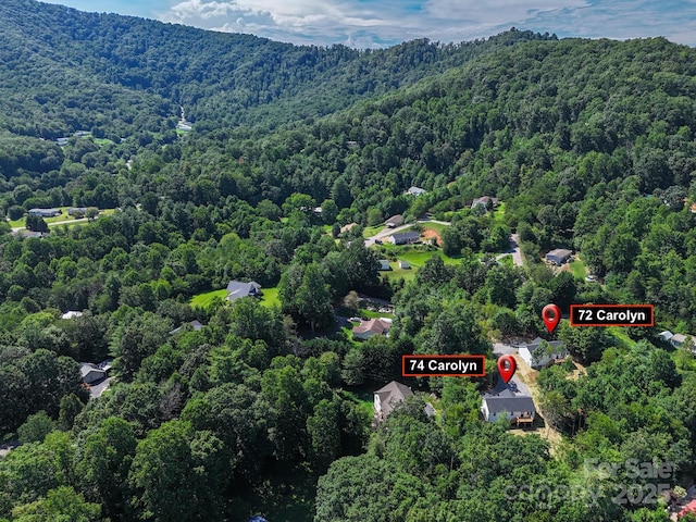 74 Carolyn Dr, Candler, NC 28715 - photo 46