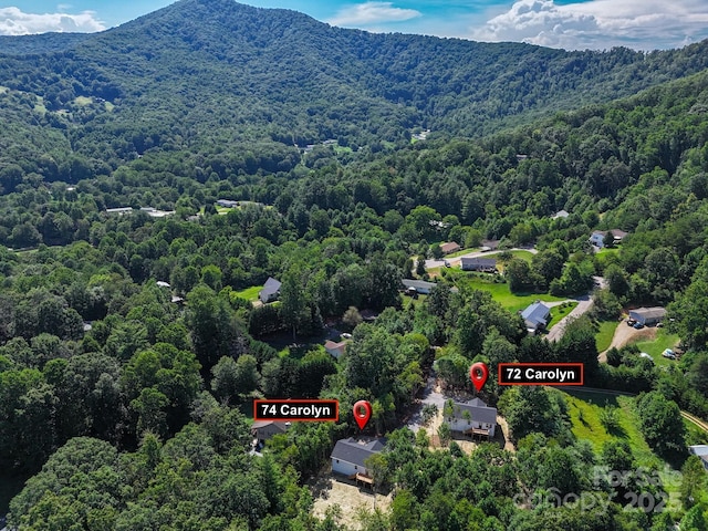 74 Carolyn Dr, Candler, NC 28715 - photo 47