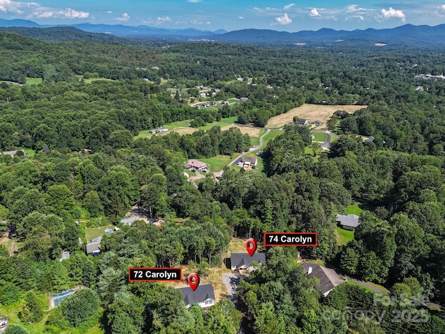 74 Carolyn Dr, Candler, NC 28715 - photo 48
