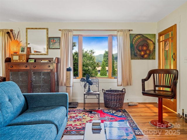 32 Sugar Cove Rd, Weaverville, NC 28787 - living area featuring wood finished floors and baseboards