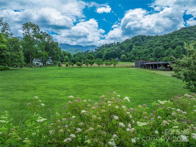 32 Sugar Cove Rd, Weaverville, NC 28787 - view of green lawn with a detached carport, a forest view, a mountain view, and a view of rural / pastoral area