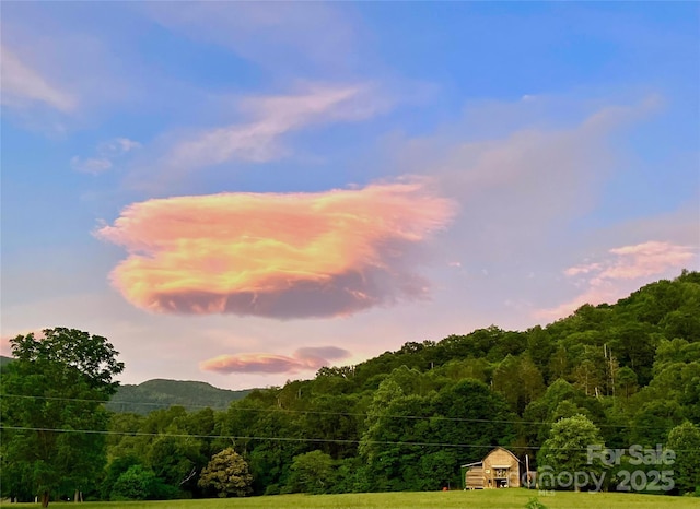 32 Sugar Cove Rd, Weaverville, NC 28787 - view of mountain backdrop featuring a heavily wooded area