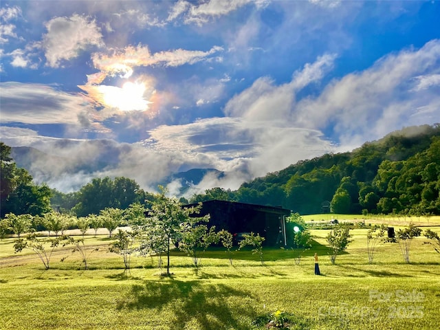 32 Sugar Cove Rd, Weaverville, NC 28787 - view of property's community with a yard and a rural view
