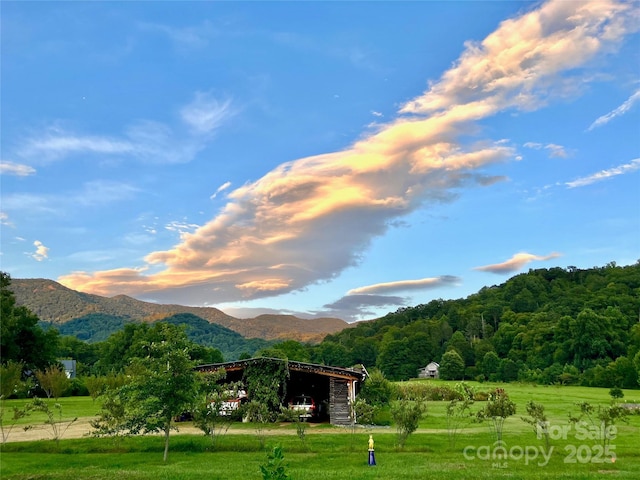 32 Sugar Cove Rd, Weaverville, NC 28787 - view of property's community with a yard and a mountain view