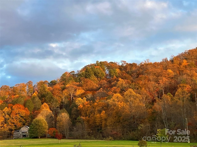 32 Sugar Cove Rd, Weaverville, NC 28787 - view of mountain backdrop with a heavily wooded area