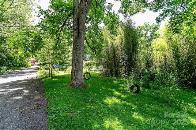 72 Bothy Rd, Brevard, NC 28712