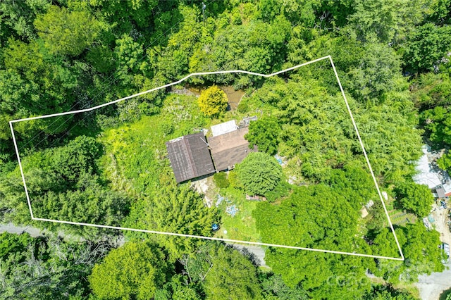 72 Bothy Rd, Brevard, NC 28712
