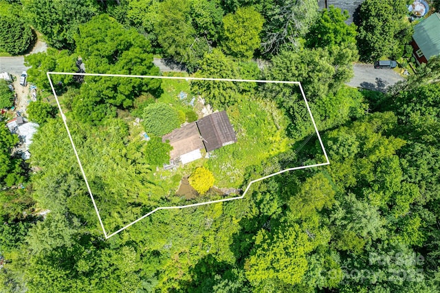 72 Bothy Rd, Brevard, NC 28712