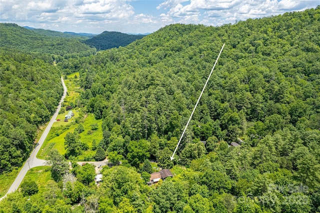 72 Bothy Rd, Brevard, NC 28712