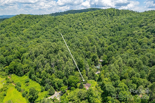 72 Bothy Rd, Brevard, NC 28712