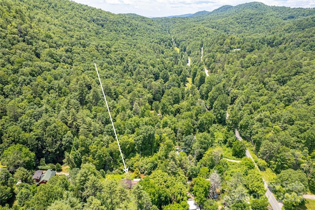 72 Bothy Rd, Brevard, NC 28712