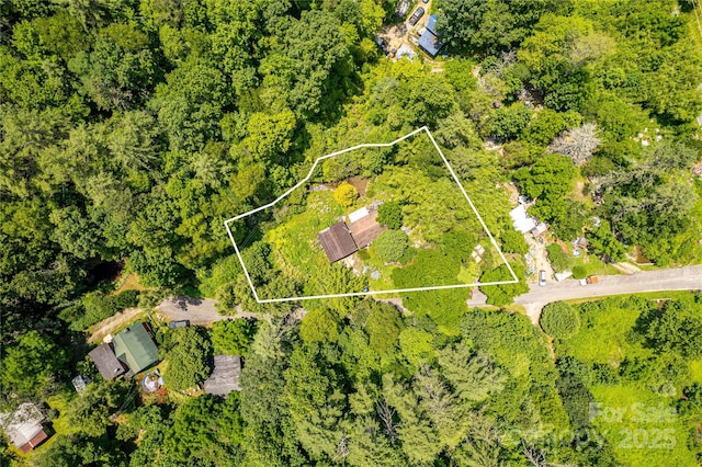 72 Bothy Rd, Brevard, NC 28712