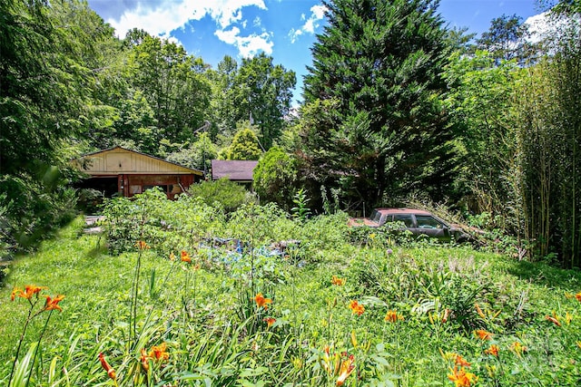 72 Bothy Rd, Brevard, NC 28712
