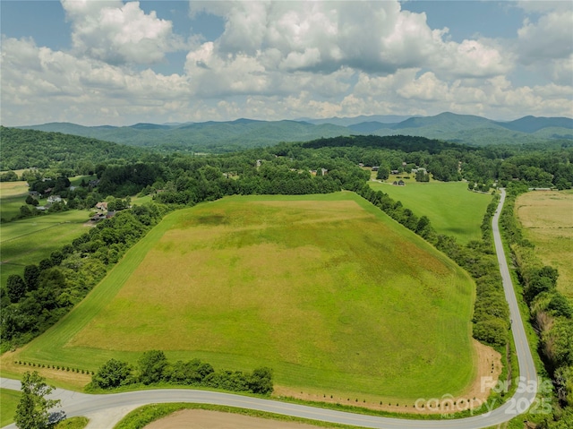 MINIFARM3TBD Coventry Dr, Brevard, NC 28712 - photo 1