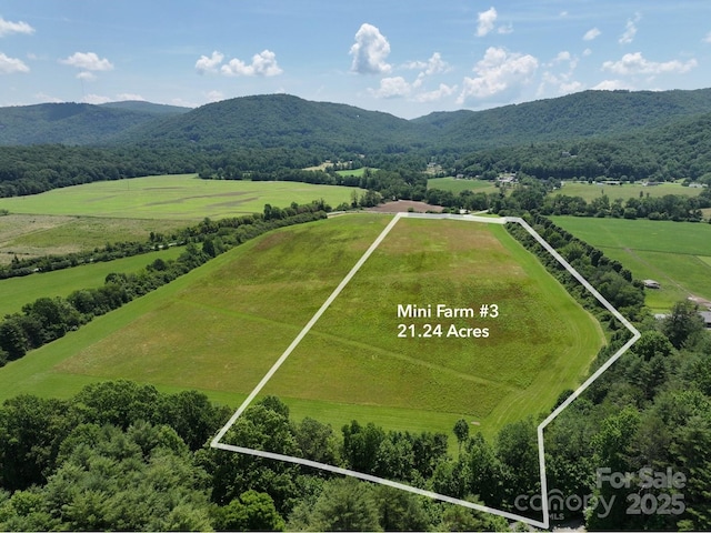 MINIFARM3TBD Coventry Dr, Brevard, NC 28712 - photo 2