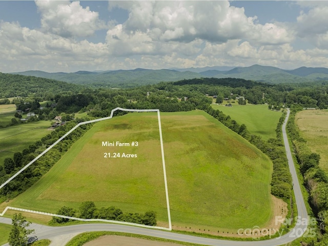 MINIFARM3TBD Coventry Dr, Brevard, NC 28712 - photo 3