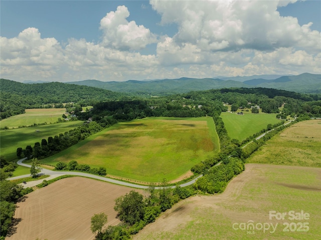 MINIFARM3TBD Coventry Dr, Brevard, NC 28712 - photo 8