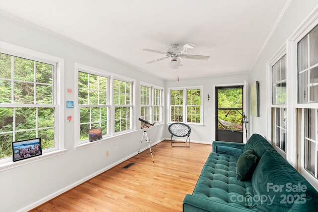32 Tucker Rd, Black Mountain, NC 28711 - photo 7