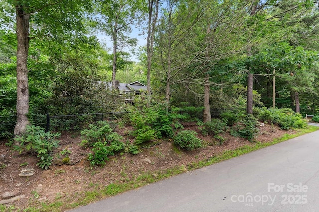 32 Tucker Rd, Black Mountain, NC 28711 - photo 8