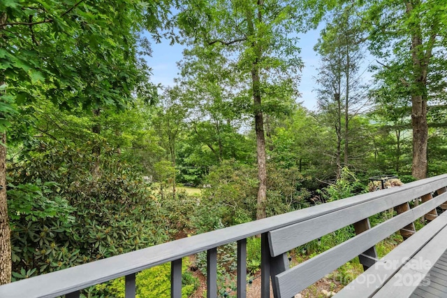 32 Tucker Rd, Black Mountain, NC 28711 - photo 19