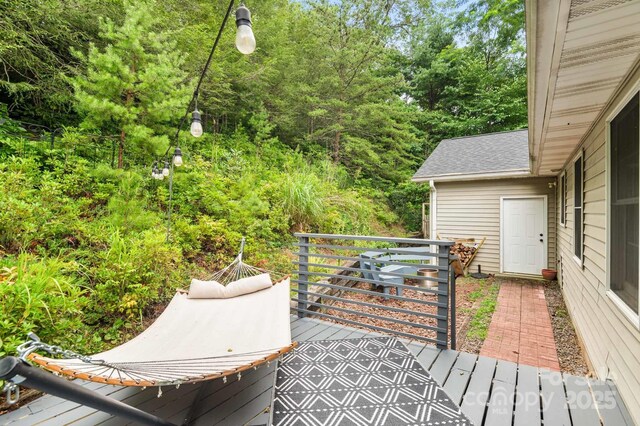 32 Tucker Rd, Black Mountain, NC 28711 - photo 22
