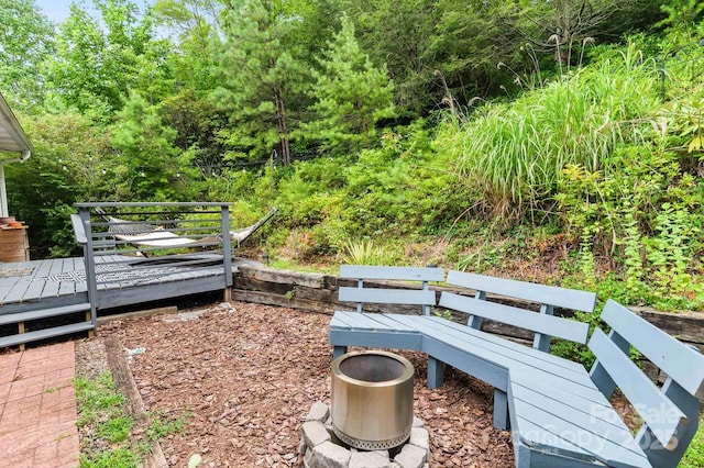 32 Tucker Rd, Black Mountain, NC 28711 - photo 23