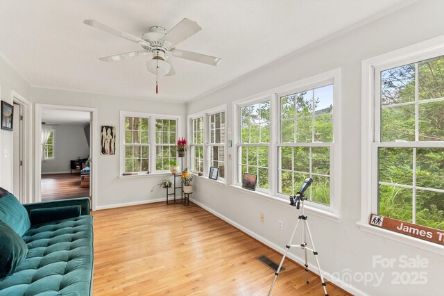 32 Tucker Rd, Black Mountain, NC 28711 - photo 24
