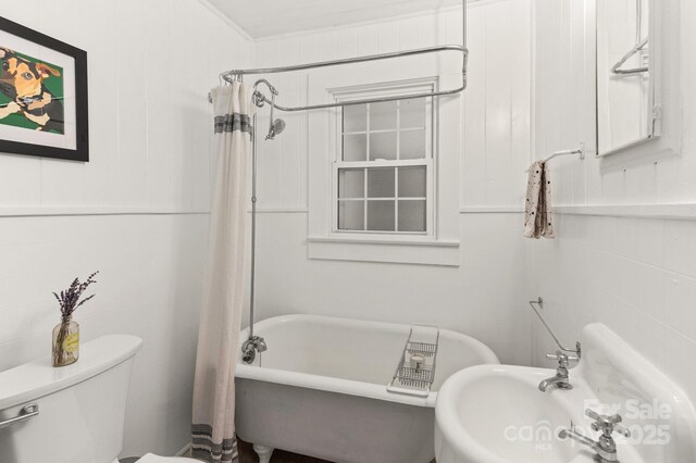 32 Tucker Rd, Black Mountain, NC 28711 - photo 43