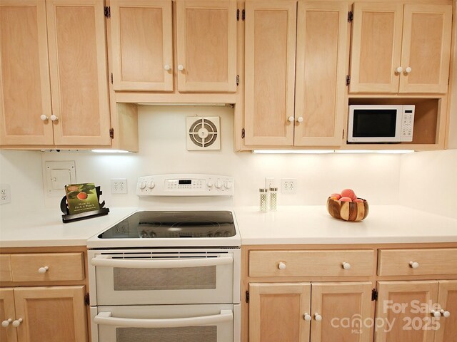1323 Queens Rd Unit 327, Charlotte, NC 28207 - photo 14