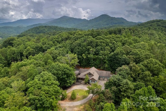 486 Center Dr Unit 7B, Bryson City, NC 28713 - view of subject property featuring a forest and mountains