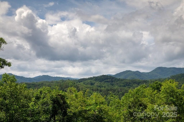 486 Center Dr Unit 7B, Bryson City, NC 28713 - view of mountain background with a heavily wooded area