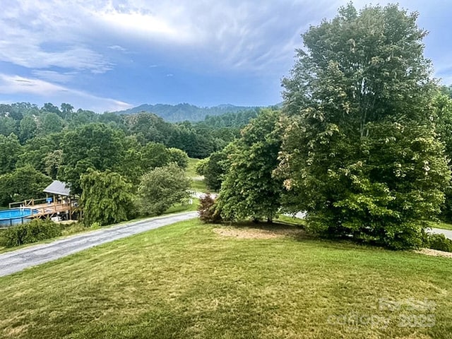 365 Hemlock Springs Trl, Weaverville, NC 28787 - photo 10