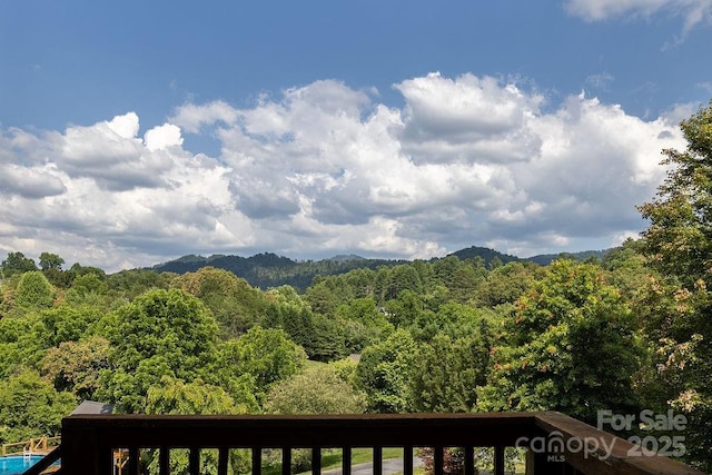 365 Hemlock Springs Trl, Weaverville, NC 28787 - photo 9