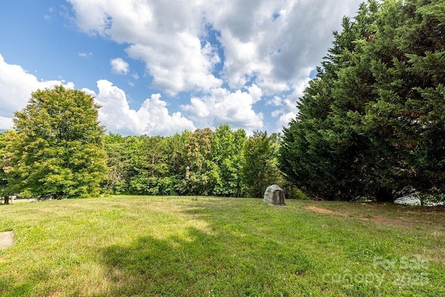 365 Hemlock Springs Trl, Weaverville, NC 28787 - photo 11