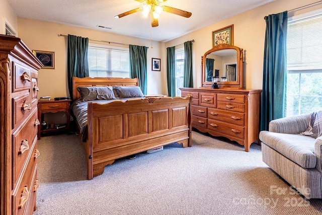 365 Hemlock Springs Trl, Weaverville, NC 28787 - photo 23