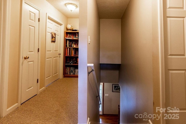365 Hemlock Springs Trl, Weaverville, NC 28787 - photo 26