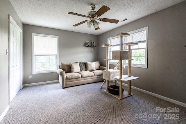 365 Hemlock Springs Trl, Weaverville, NC 28787 - photo 28