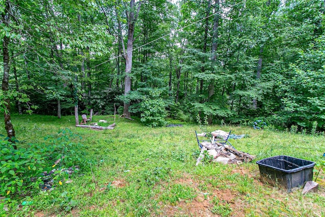 164 Horseplay Ln, Lake Toxaway, NC 28747 - view of yard