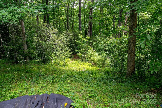 164 Horseplay Ln, Lake Toxaway, NC 28747 - view of woods
